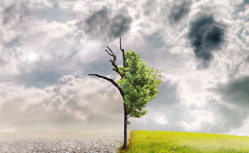 Өнөөдөр цөлжилттэй тэмцэх өдөр