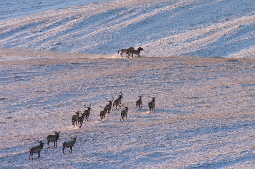 WEEKEND ESCAPE TO HUSTAI NATIONAL PARK