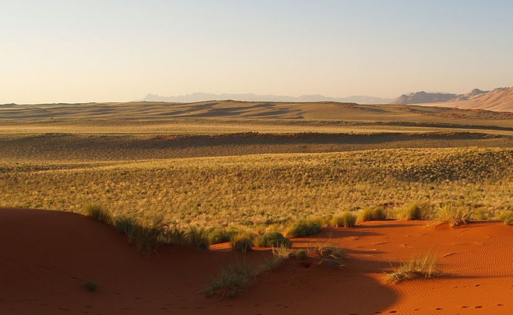 Монголын эмгэнэл цөлжилт