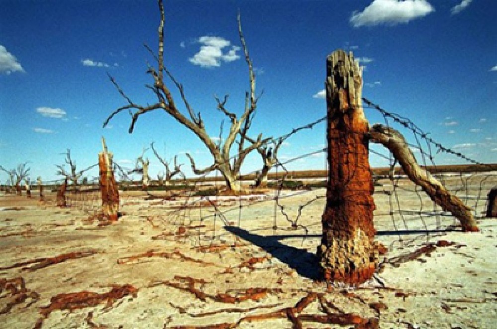 Цөлжилт Монголын талыг цөлмөх нь